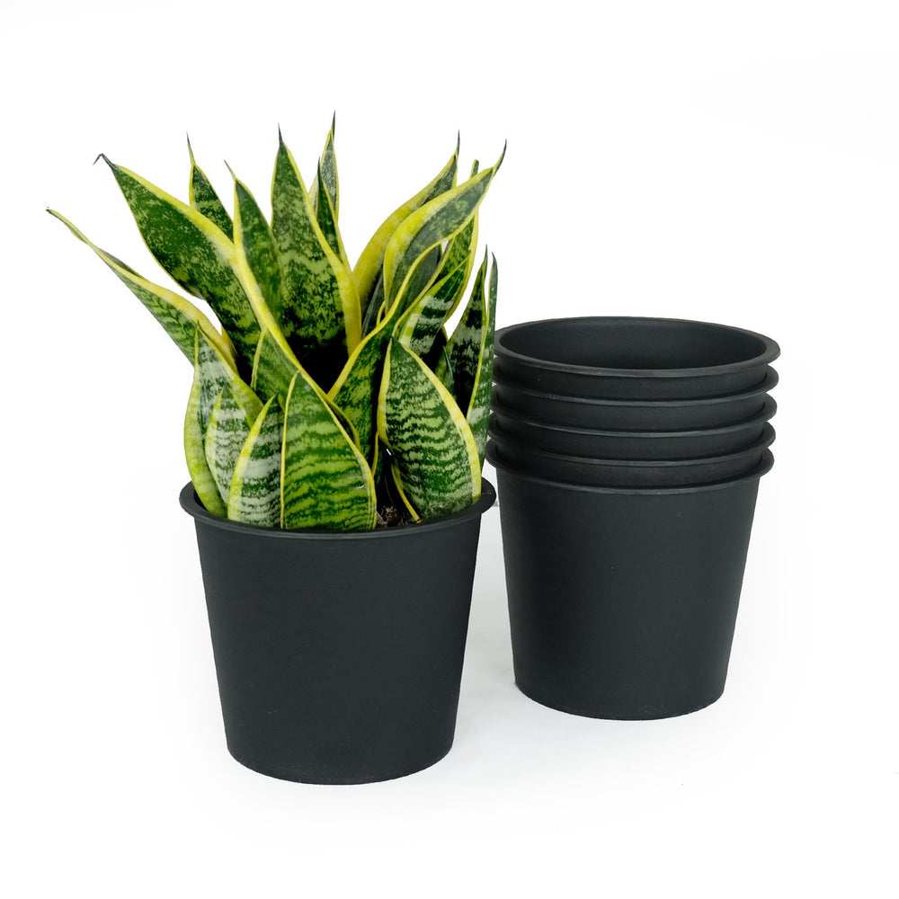 English Elm 5" Lightweight Black Nursery Pot 5-Pack — UV-Protected Durable Plastic Planters with Drainage, Multiuse B046P144648