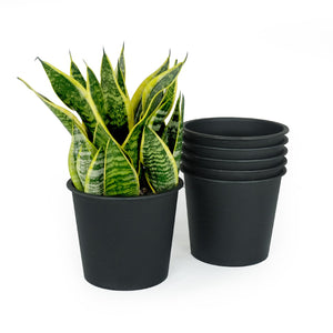 English Elm 5" Lightweight Black Nursery Pot 5-Pack — UV-Protected Durable Plastic Planters with Drainage, Multiuse B046P144648