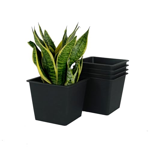 English Elm 6.3" Square Nursery Plant Pot - 7.5" Tall Durable Black Plastic Planter with UV Drainage (5-Pack) B046P144652