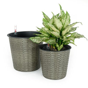 English Elm 2-Pack Elegant Round Grey Wicker Planters With Self-Watering System For Indoor & Outdoor Use B046P144647