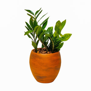 English Elm Smart Self-watering Round Planter Pot with Hand-painted Finish, Breathable Clay, Durable Design Terracotta B046P144625