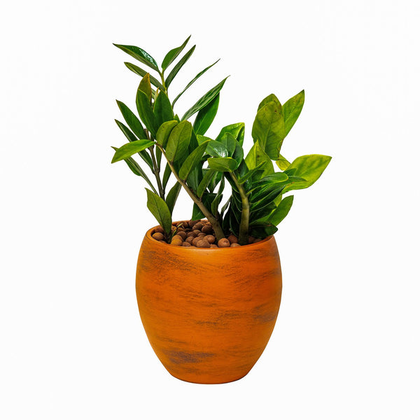 English Elm Smart Self-watering Round Planter Pot with Hand-painted Finish, Breathable Clay, Durable Design Terracotta B046P144625