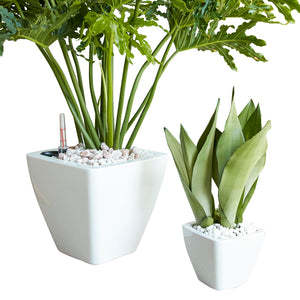 English Elm 2-Pack Smart Self-Watering Planters – Modern Square Cone Pots For Effortless Indoor & Outdoor Care B046P144622