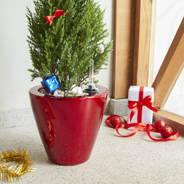 English Elm 2-Pack Stylish Self-Watering Planters – Eco-Friendly Red Cone Pots For Indoor & Outdoor Use B046P144621