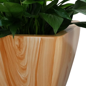English Elm 2-Pack Stylish Self-Watering Planters - Light Wood Square Cone Design For Healthy Indoor & Outdoor Plants B046P144623