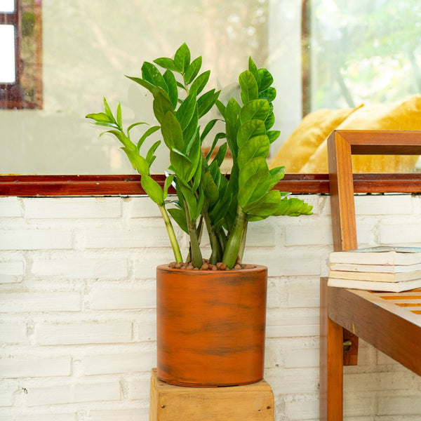 English Elm 7.8 In. Hand-Painted Self-Watering Planter Pot - Eco-Friendly, Unique Design For Indoor & Outdoor Use B046P144617