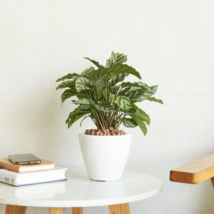 English Elm 2-Pack Stylish Self-Watering Planter Pots - Eco-Friendly Round Cone Design For Indoor & Outdoor Use B046P144620