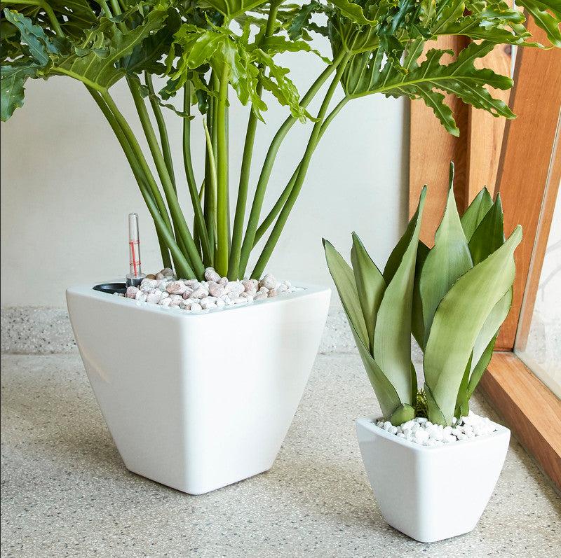 English Elm 2-Pack Smart Self-Watering Planters – Modern Square Cone Pots For Effortless Indoor & Outdoor Care B046P144622
