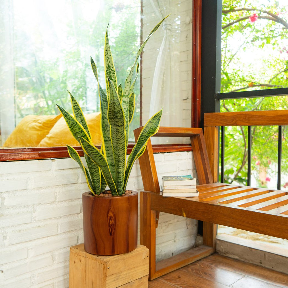 English Elm 7.8 In. Dark Wood Self-Watering Planter Pot – Stylish, Low-Maintenance Home For Happy Plants! B046P144616