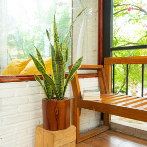 English Elm 7.8 In. Dark Wood Self-Watering Planter Pot – Stylish, Low-Maintenance Home For Happy Plants! B046P144616