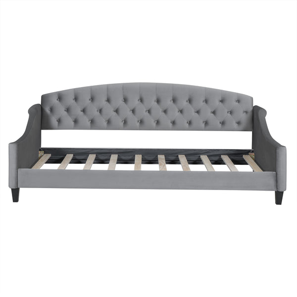 English Elm Modern Luxury Tufted Button Daybed In Gray Velvet - Elegant Twin Sleeper For Stylish Spaces GX001008AAE-1