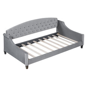 English Elm Modern Luxury Tufted Button Daybed In Gray Velvet - Elegant Twin Sleeper For Stylish Spaces GX001008AAE-1