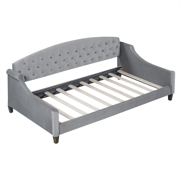 English Elm Modern Luxury Tufted Button Daybed In Gray Velvet - Elegant Twin Sleeper For Stylish Spaces GX001008AAE-1