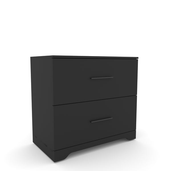 English Elm 2-Drawer Lateral Filing Cabinet for Home Office with Printer Stand, Lockable, Large Capacity Black W2282140365