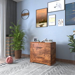 English Elm 2-Drawer Lateral Filing Cabinet for Home Office with Printer Stand, Lockable, Large Capacity Brown W2282140361