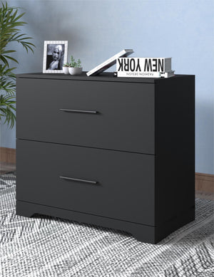 English Elm 2-Drawer Lateral Filing Cabinet for Home Office with Printer Stand, Lockable, Large Capacity Black W2282140365