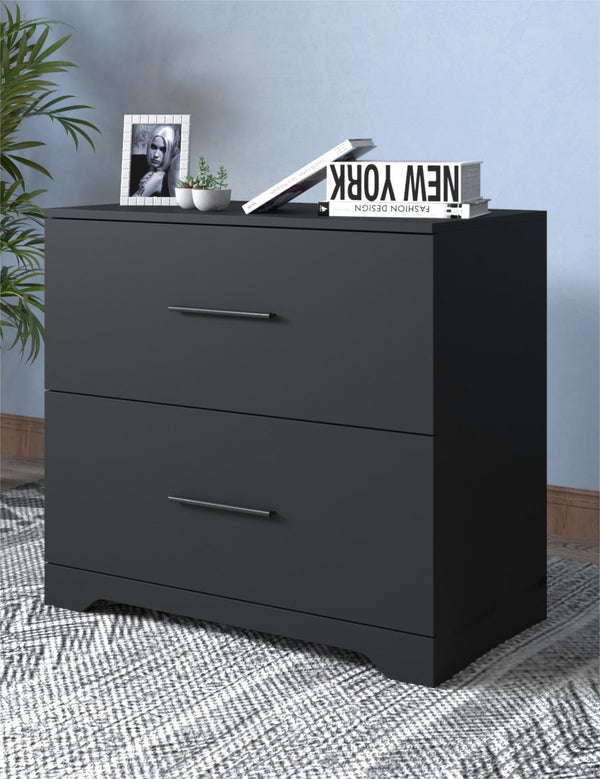 English Elm 2-Drawer Lateral Filing Cabinet for Home Office with Printer Stand, Lockable, Large Capacity Black W2282140365
