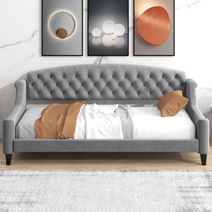 English Elm Modern Luxury Tufted Button Daybed In Gray Velvet - Elegant Twin Sleeper For Stylish Spaces GX001008AAE-1