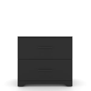 English Elm 2-Drawer Lateral Filing Cabinet for Home Office with Printer Stand, Lockable, Large Capacity Black W2282140365
