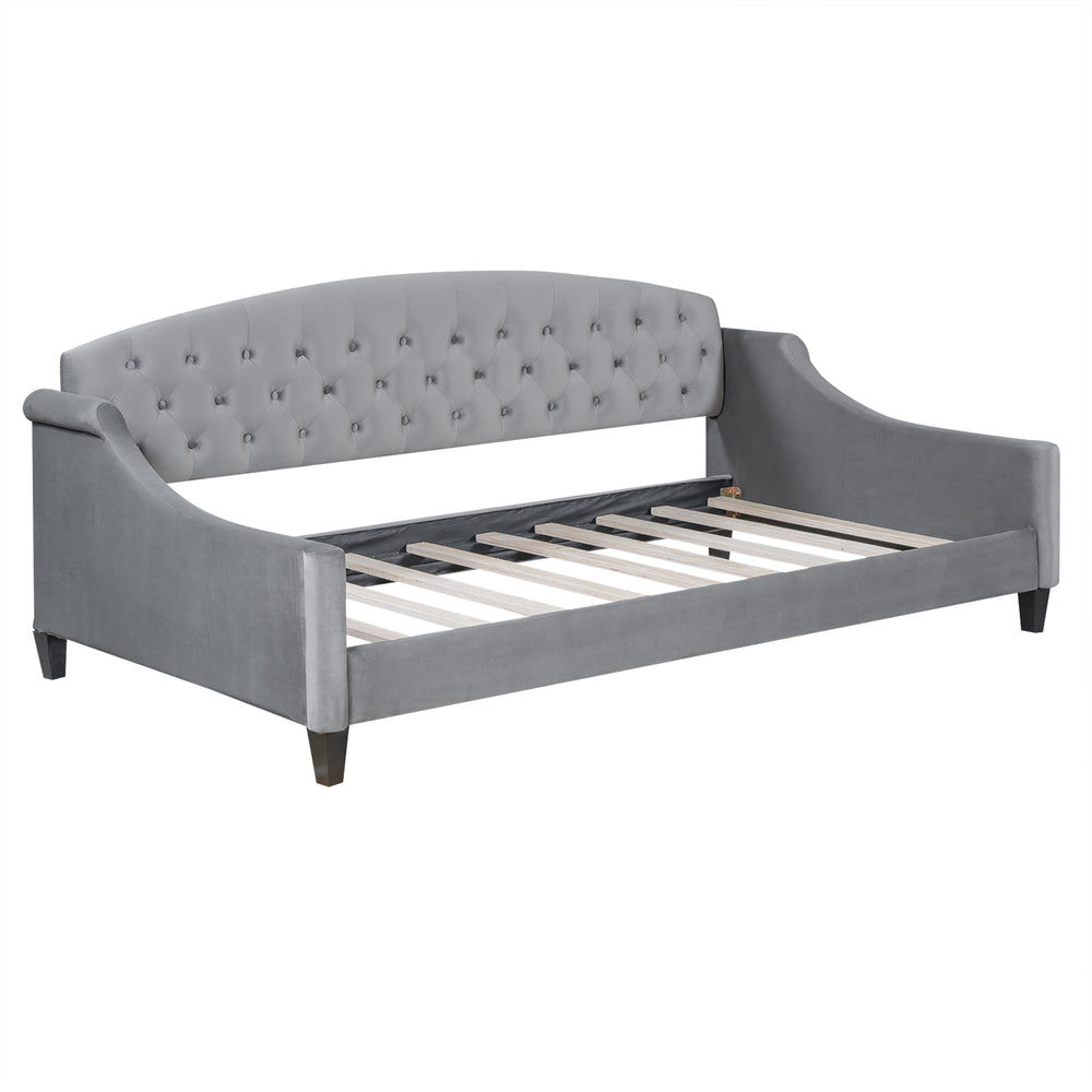 English Elm Modern Luxury Tufted Button Daybed In Gray Velvet - Elegant Twin Sleeper For Stylish Spaces GX001008AAE-1