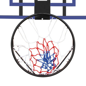 English Elm Wall-mounted Basketball Hoop Shatterproof Backboard Folding Rim All-weather Net W1408P198975