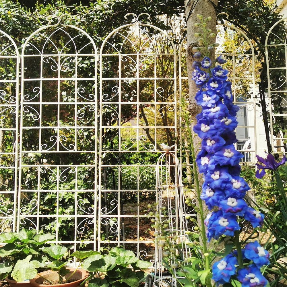 English Elm 4 Pack Tall Steel Garden Trellis Panels Powder Coated Rustproof Climbing Plant Support W1586134247