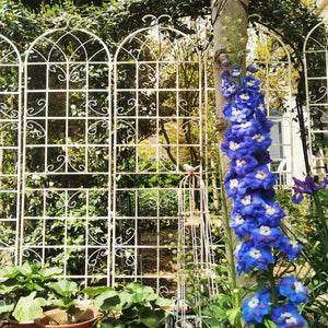 English Elm 4 Pack Tall Steel Garden Trellis Panels Powder Coated Rustproof Climbing Plant Support W1586134247