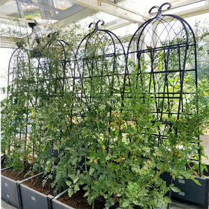 English Elm 4 Pack Galvanized Steel Garden Trellises Powder Coated Matte Black Climbing Plant Supports W158681061