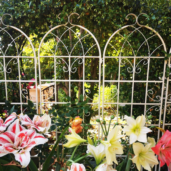 English Elm 4 Pack Tall Steel Garden Trellis Panels Powder Coated Rustproof Climbing Plant Support W1586134247