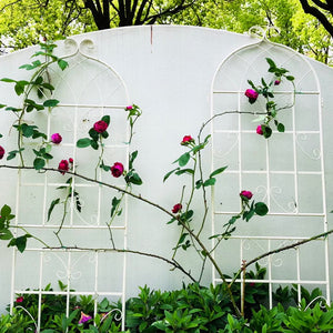 English Elm 4 Pack Galvanized Steel Garden Trellis Panels Powder Coated Cream White Climbing Plant Support W1586P147434
