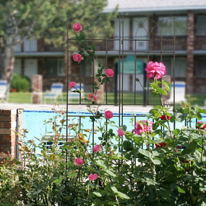 English Elm 4 Pack Powder-coated Metal Garden Trellises Rustproof Climbing Plant Outdoor Support Brown W1586P147459