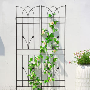 English Elm 4 Pack Powder-coated Metal Garden Trellises Rustproof Climbing Plant Outdoor Support Black W1586P147482