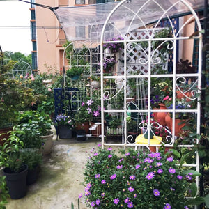 English Elm 4 Pack Galvanized Steel Garden Trellis Panels Powder Coated Cream White Climbing Plant Support W1586P147434