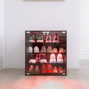 English Elm 4 Tier Glass Front Shoe Cabinet with Led Lighting Bluetooth Control Entryway Storage W2139134910