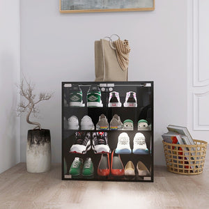 English Elm 4 Tier Glass Front Shoe Cabinet with Led Lighting Bluetooth Control Entryway Storage W2139134910
