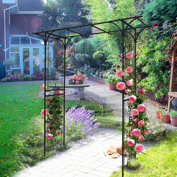 English Elm Metal Powder-coated Garden Arch Galvanized Steel Frame for Climbing Roses Outdoor W1586P148590
