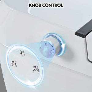 English Elm Heated Elongated Compact Tankless Toilet with Adjustable 4‑Level Seat Heat, Foot Sensor Flush, LED Night Light WF314230AAA