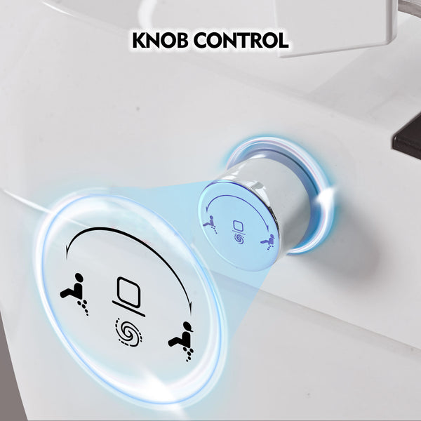 English Elm Smart Toilet Bidet Combo Compact Tankless Dual-Flush 1/1.28 GPF Foot-Sensor LED Night Light Soft-Close WF314231AAA