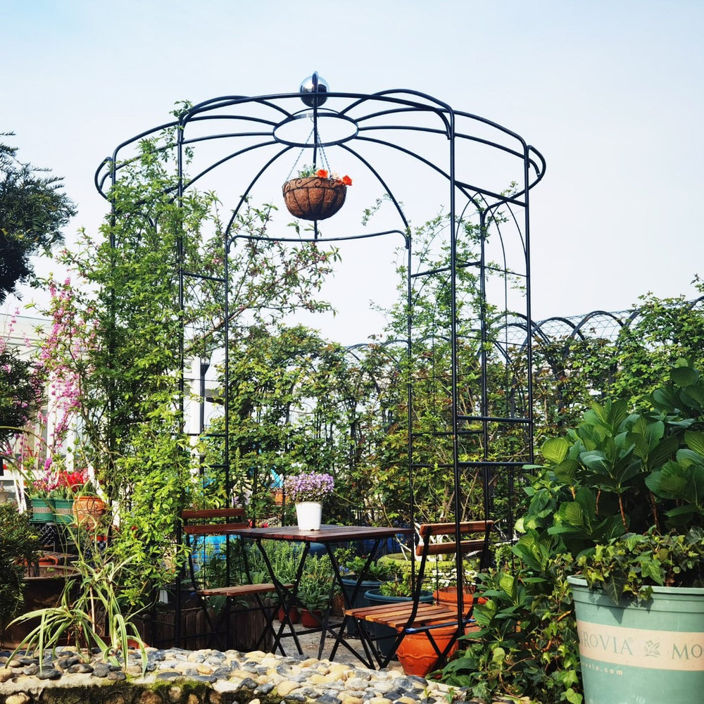 English Elm Metal Birdcage Garden Arch Powder Coated Steel Pergola for Outdoor Ceremonies W158681123