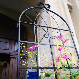 English Elm 4 Pack Tall Galvanized Steel Garden Trellises Powder Coated Black for Climbing Vines W158681059