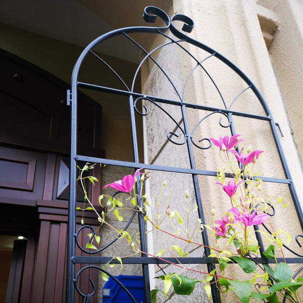 English Elm 4 Pack Tall Galvanized Steel Garden Trellises Powder Coated Black for Climbing Vines W158681059