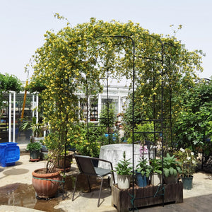 English Elm Metal Birdcage Garden Arch Powder Coated Steel Pergola for Outdoor Ceremonies W158681123