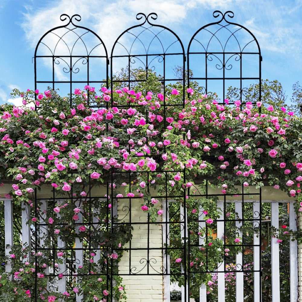 English Elm 4 Pack Tall Galvanized Steel Garden Trellises Powder Coated Black for Climbing Vines W158681059