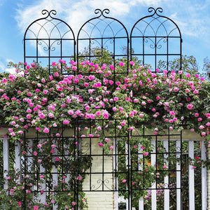 English Elm 4 Pack Tall Galvanized Steel Garden Trellises Powder Coated Black for Climbing Vines W158681059