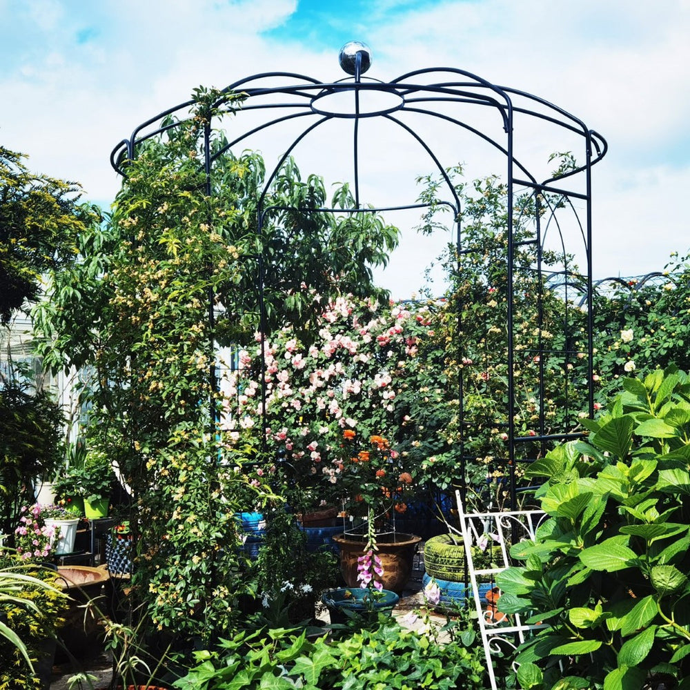 English Elm Metal Birdcage Garden Arch Powder Coated Steel Pergola for Outdoor Ceremonies W158681123