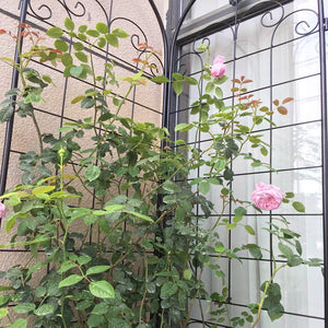 English Elm 4 Pack Tall Galvanized Steel Garden Trellises Powder Coated Black for Climbing Vines W158681065