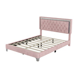 English Elm Queen Size Upholstered Bed Frame With Led Lights,Modern Velvet Platform Bed With Tufted Headboard,Pink