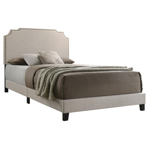 English Elm Beige Scalloped Upholstered Queen Bed with Nailhead Trim, Luxurious Transitional Design, 86.5" Long B062P153557