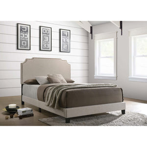English Elm Beige Scalloped Upholstered Queen Bed with Nailhead Trim, Luxurious Transitional Design, 86.5" Long B062P153557
