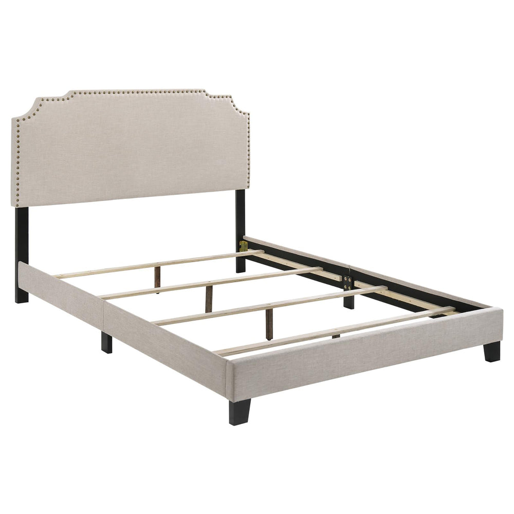 English Elm Beige Scalloped Upholstered Full Panel Bed with Nailhead Trim, Glam Transitional Design, 81.5" L B062P153559